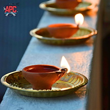 APC-Illumination-Professional-Diwali-Holiday-Lighting-Installation-in-Richmond-VA-Creates-a-Festive-Glow 1